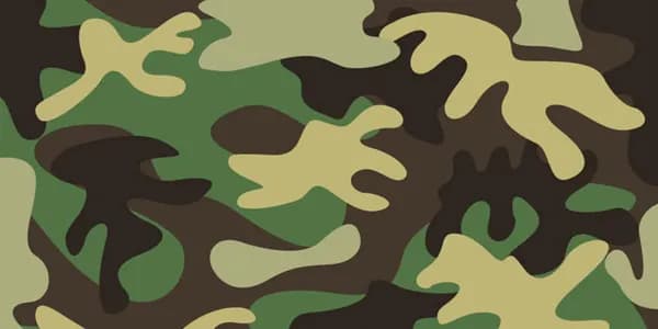Militär