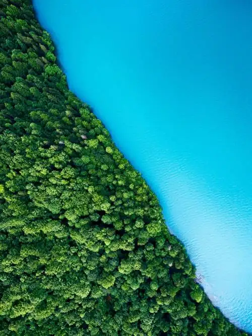 Blue lake and green shore wallpaper