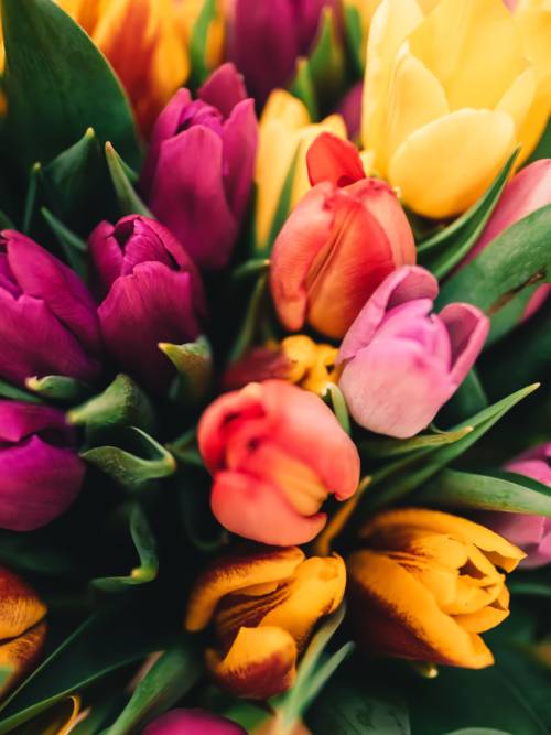 Bouquet of tulips wallpaper for mobiles and tablets