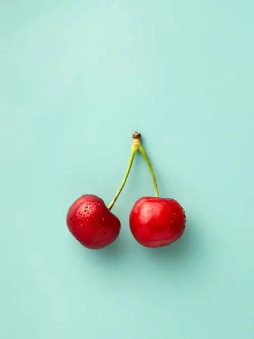 Cherries wallpaper