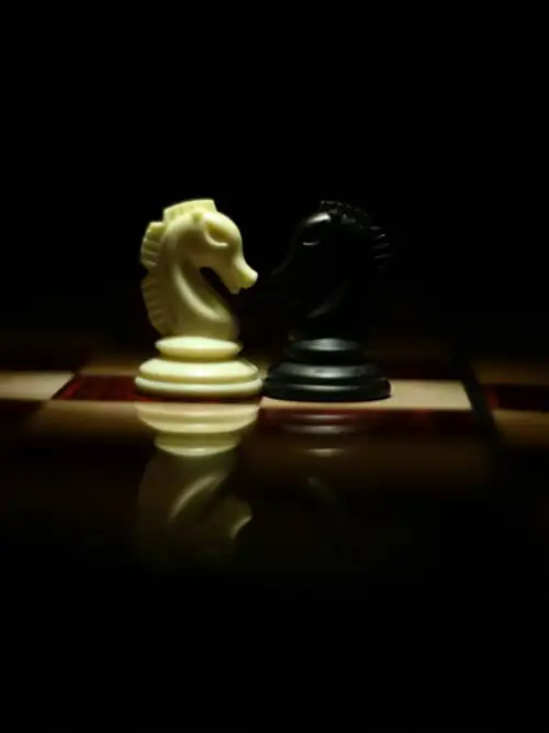 Chess horses faced wallpaper