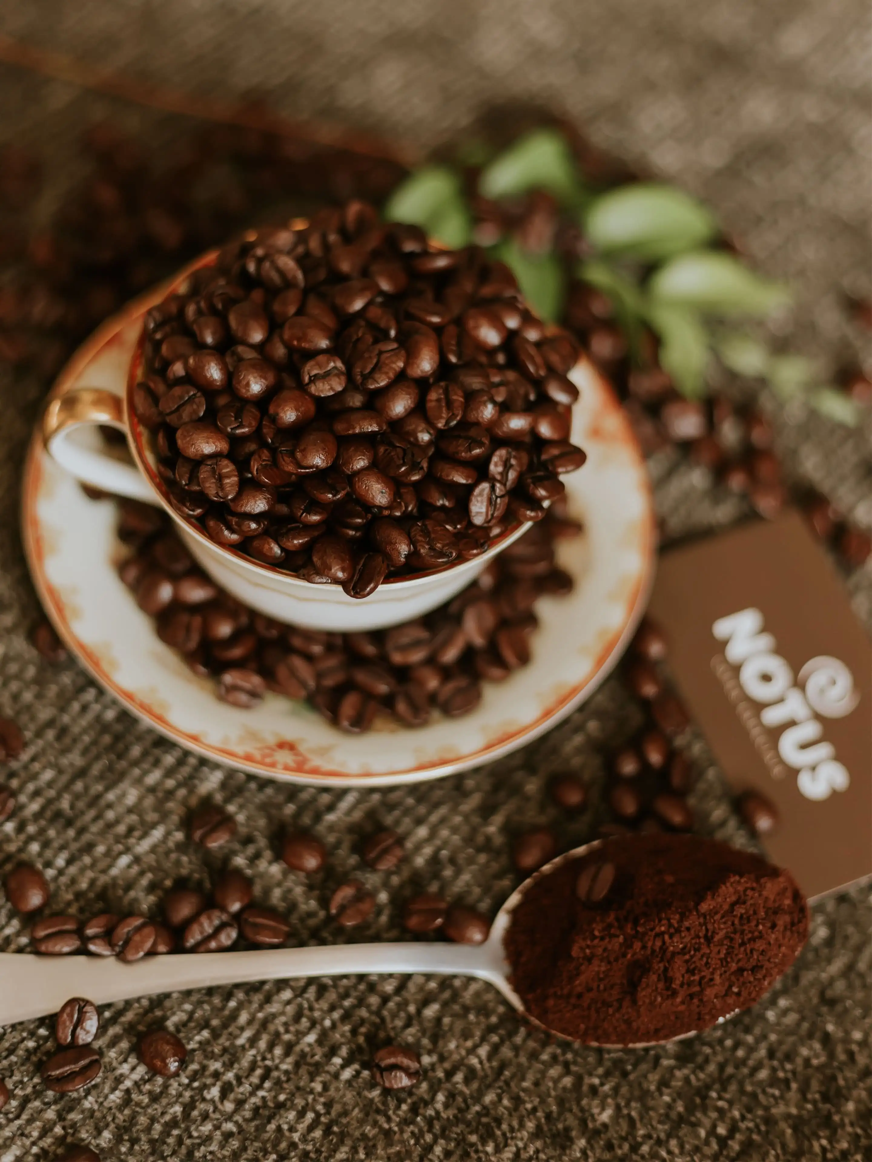 ▷ Fondo de pantalla de Taza de granos de café 📱 | Wallery