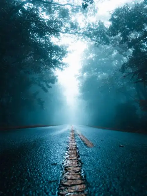 Foggy road wallpaper
