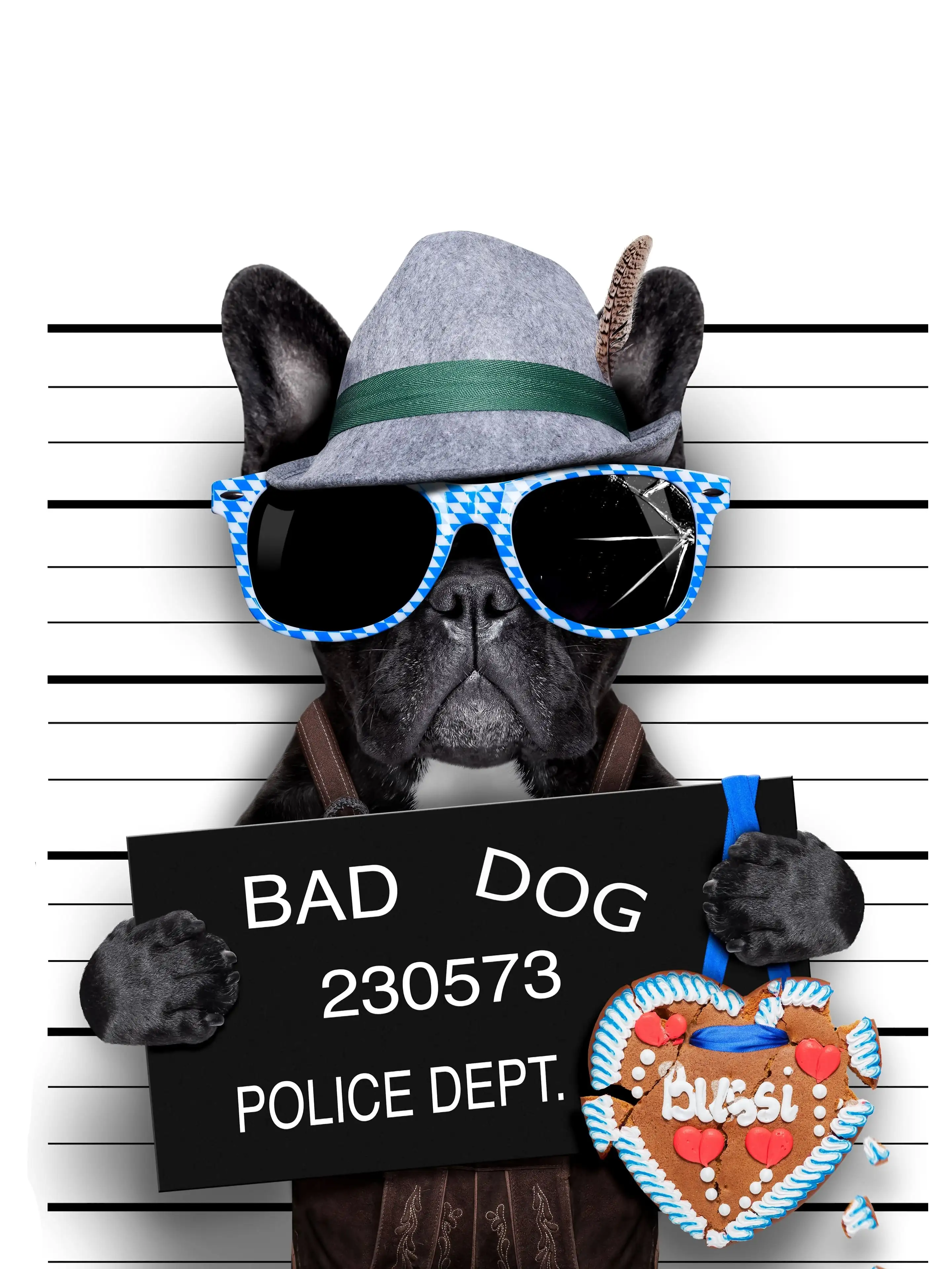 ▷ Funny bad dog wallpaper 📱 | Wallery
