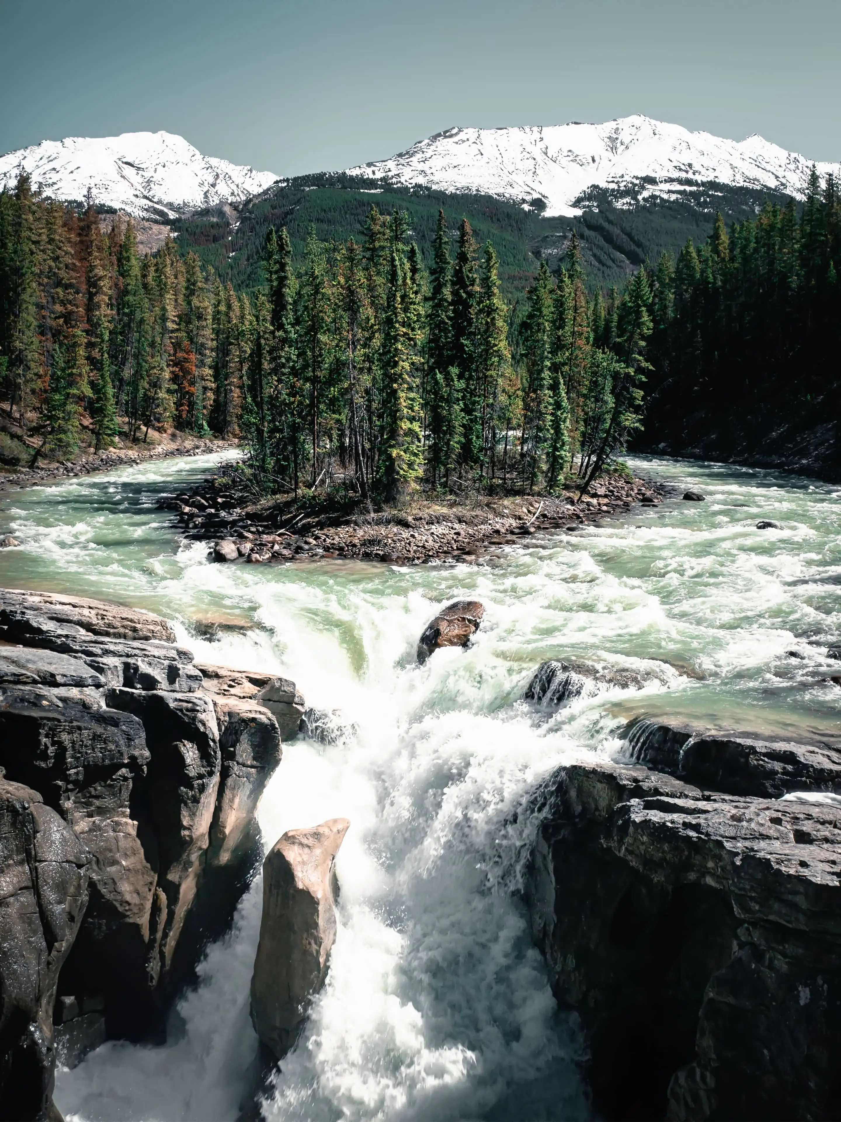20 River Pictures  Download Free Images on Unsplash