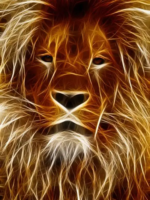 Lion drawing wallpaper