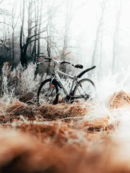 Mustang bike wallpaper