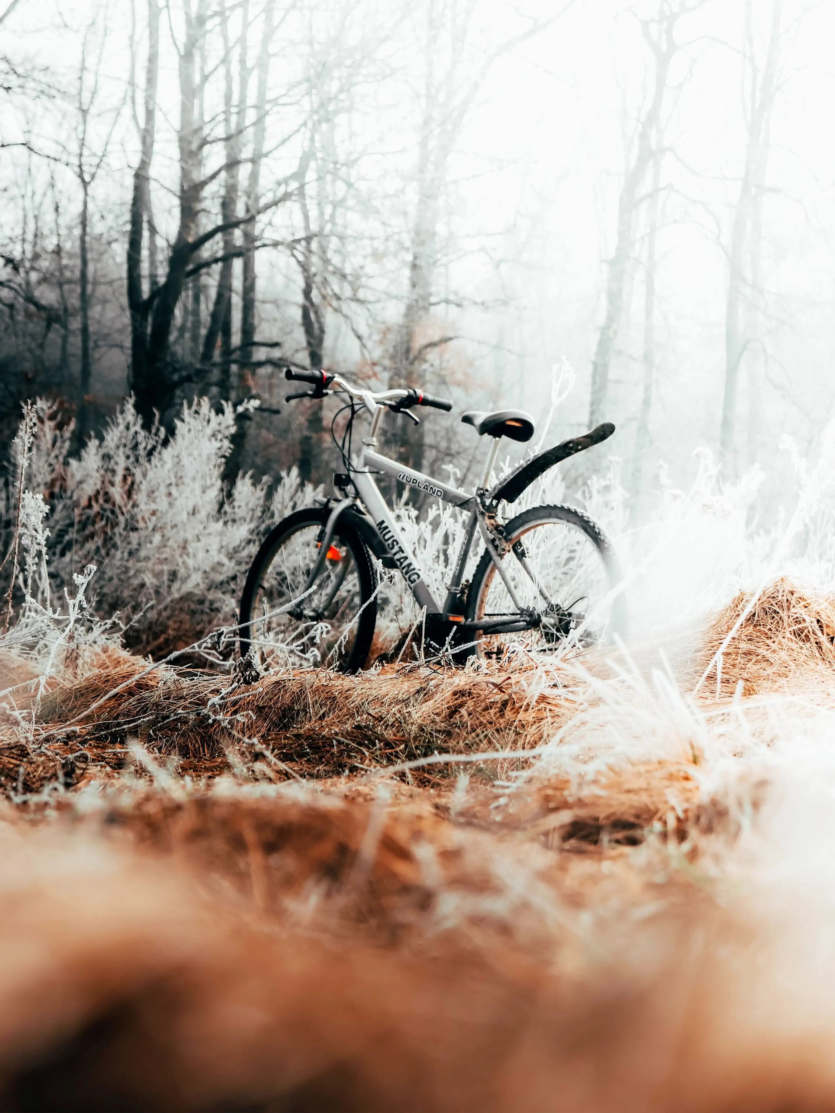 Von Schlitz Prestige Fahrrad Hintergrundbilder Installieren Lieferung