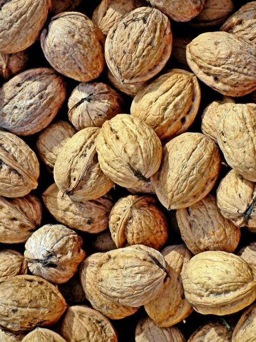 Nuts wallpaper