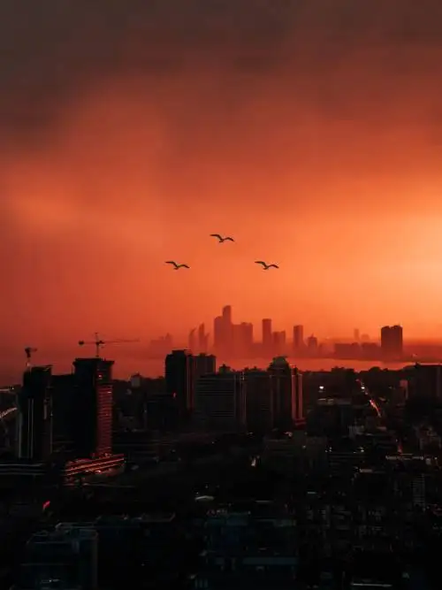 Orange city skyline wallpaper