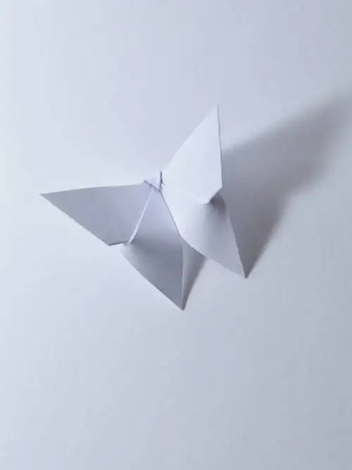 Paper butterfly wallpaper