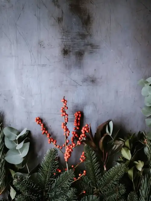 Plants on the wall wallpaper