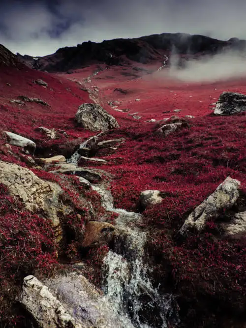 Red hillside wallpaper