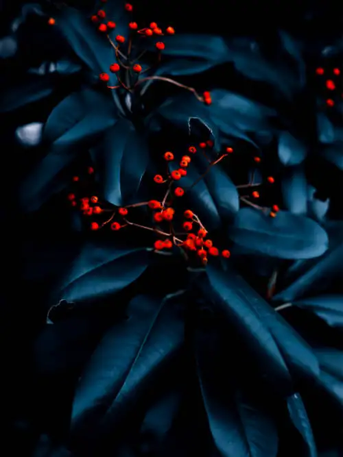 Silver plant wallpaper