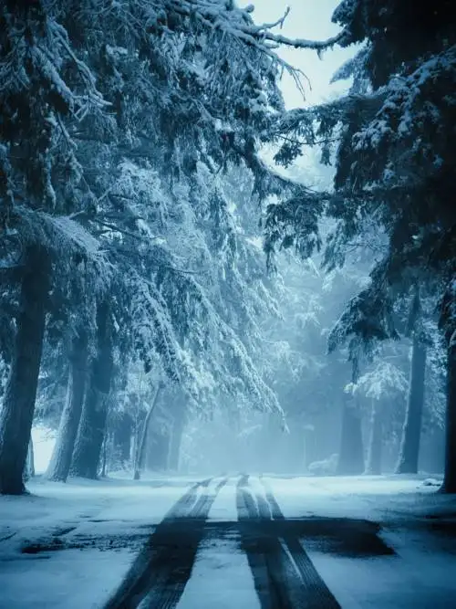 Snowy road wallpaper