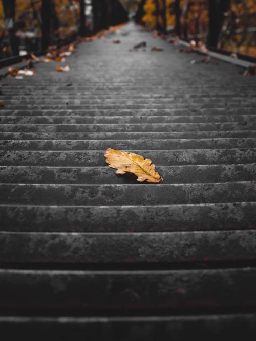 Stairs in autumn wallpaper