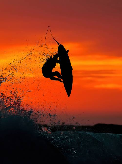 Surfing the waves wallpaper for mobiles and tablets