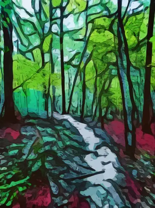 Vector abstract forest wallpaper