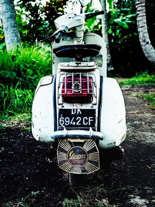 Vespa i djungeln