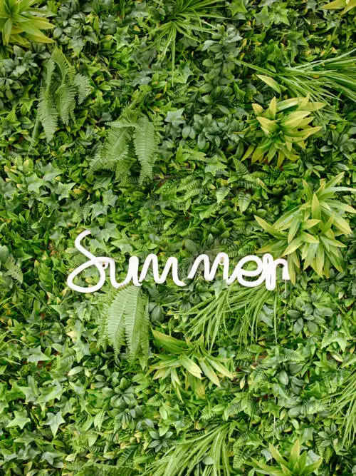 夏のネオン