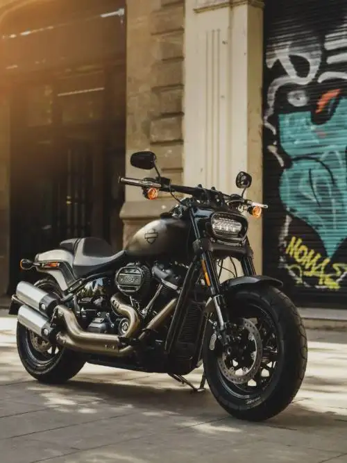 Harley-Davidson på gatan