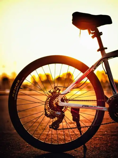Cykla i solnedgången