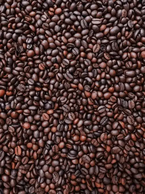 Kaffeebohnen