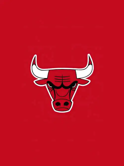 Chicago Bulls