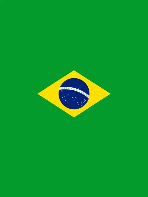 Brasilien flagga