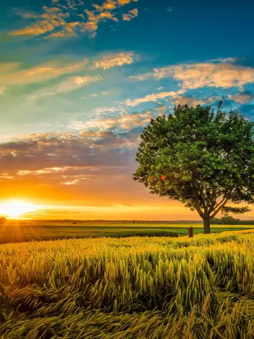 Paisagem