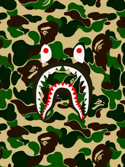 BAPE mimetico squalo