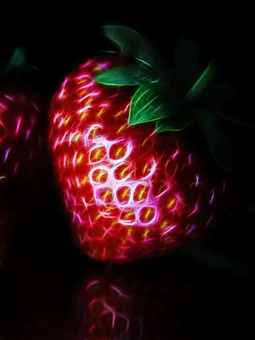 Fractal strawberry