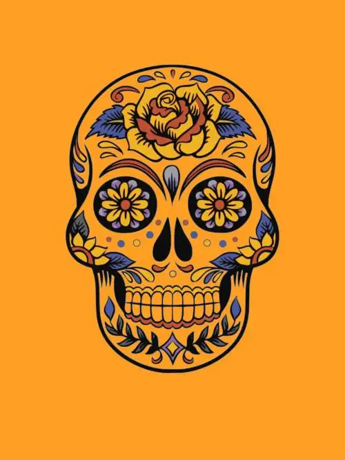 Mexican skull vector