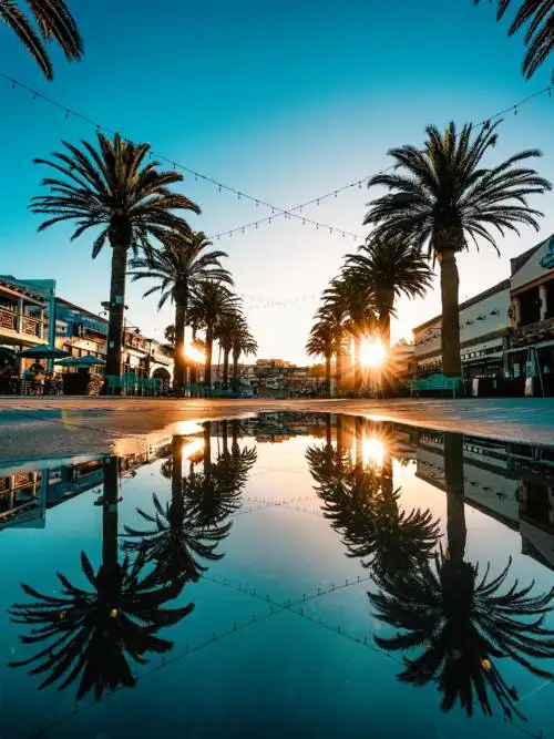 Puddle on the street