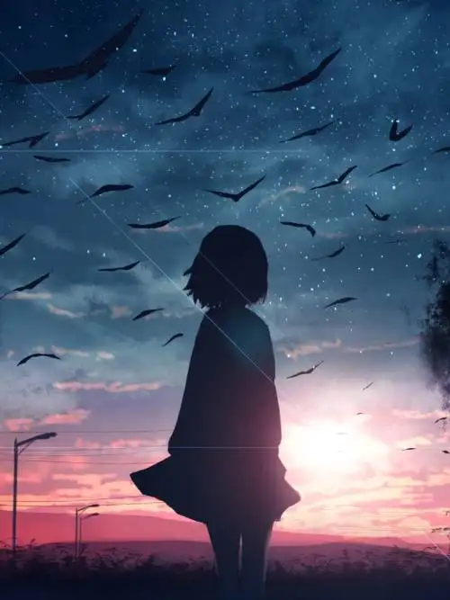 Silhouette in the sunset