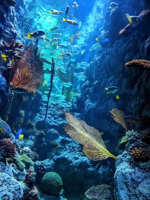 Under sea